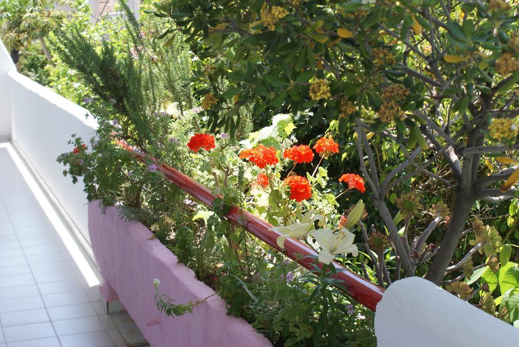 Stam & John Apartments Kos Town Ngoại thất bức ảnh